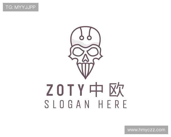 介绍zoty中欧